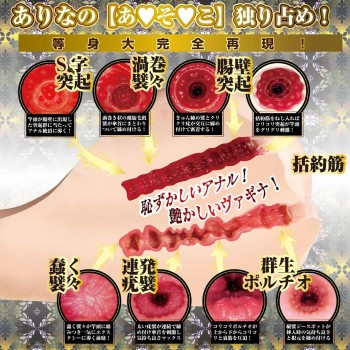 NPG Arina Hashimoto Ultimate Hips 7kg