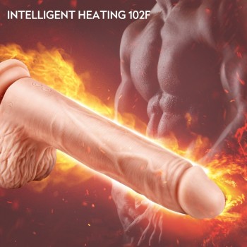 Erocome Aquila - Vanilla